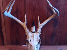 SKUNK ESSENCE COVER SCENT TROPHY BUCK NATURAL DEER  LURE ODOR