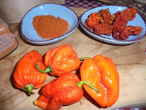 Carolina Reaper Chili-Pulver 10+ gemahlen unbehandelt Eigenanbau 50 g - Bild 3 von 3