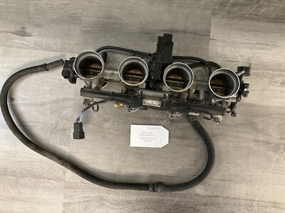 2002-2005 Kawasaki ZX12 Throttle Body Bodies | E41