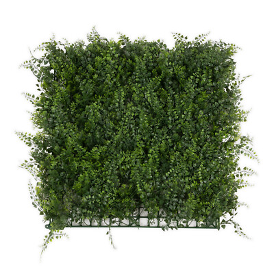 kirschlorbeer wurzeln hauswand Portugiesischer Kirschlorbeer (Prunus lusitanica 'Angustifolia') | 40-60 cm  Wurzelware