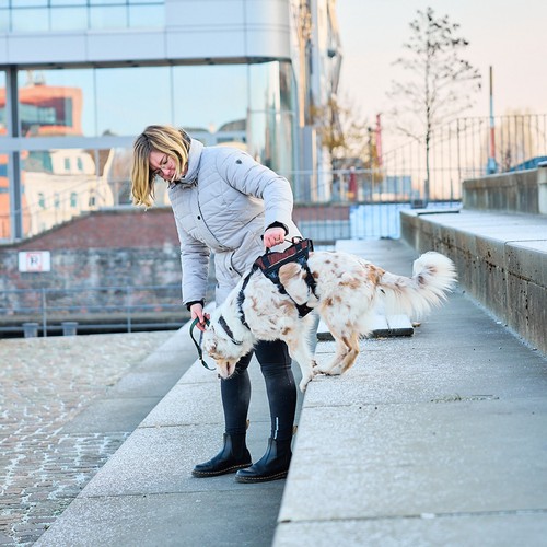 Non-stop dogwear ROCK HARNESS Long |130| Trekking, guía y arneses cotidianos - Imagen 8 de 9
