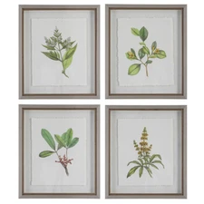 Wildflower Study Botanical Prints Flower Framed Wall Art Set ~ Uttermost 41461
