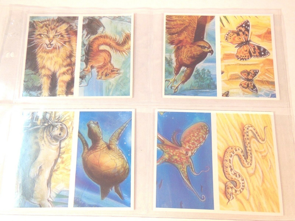 rare tea cards Tea Cards JSCards buy value sell Tea collectors cards valuations