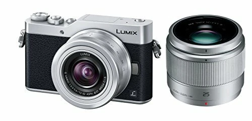 Panasonic Mirrorless Single-Lens Camera Lumix Gf9 Double Zoom Lens Kit Standard