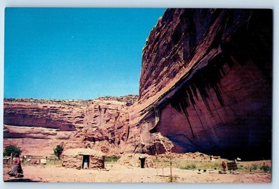 1960 Arizona Postcard Canyon De Chelly Navajo Hogans Canyon Cliff Standing Cow