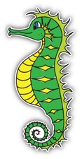 Cartoon Seahorse Animal Car Bumper Sticker Decal