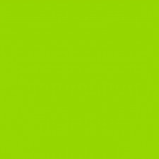 LIME GREEN SOLID 22" BANDANA Head Neck Wrap Scarf Scarve Handkerchief Hanky Cap