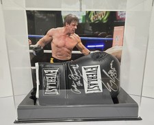 Sylvester Stallone Signed Movie/Production Used Boxing Glove From Rocky Balboa