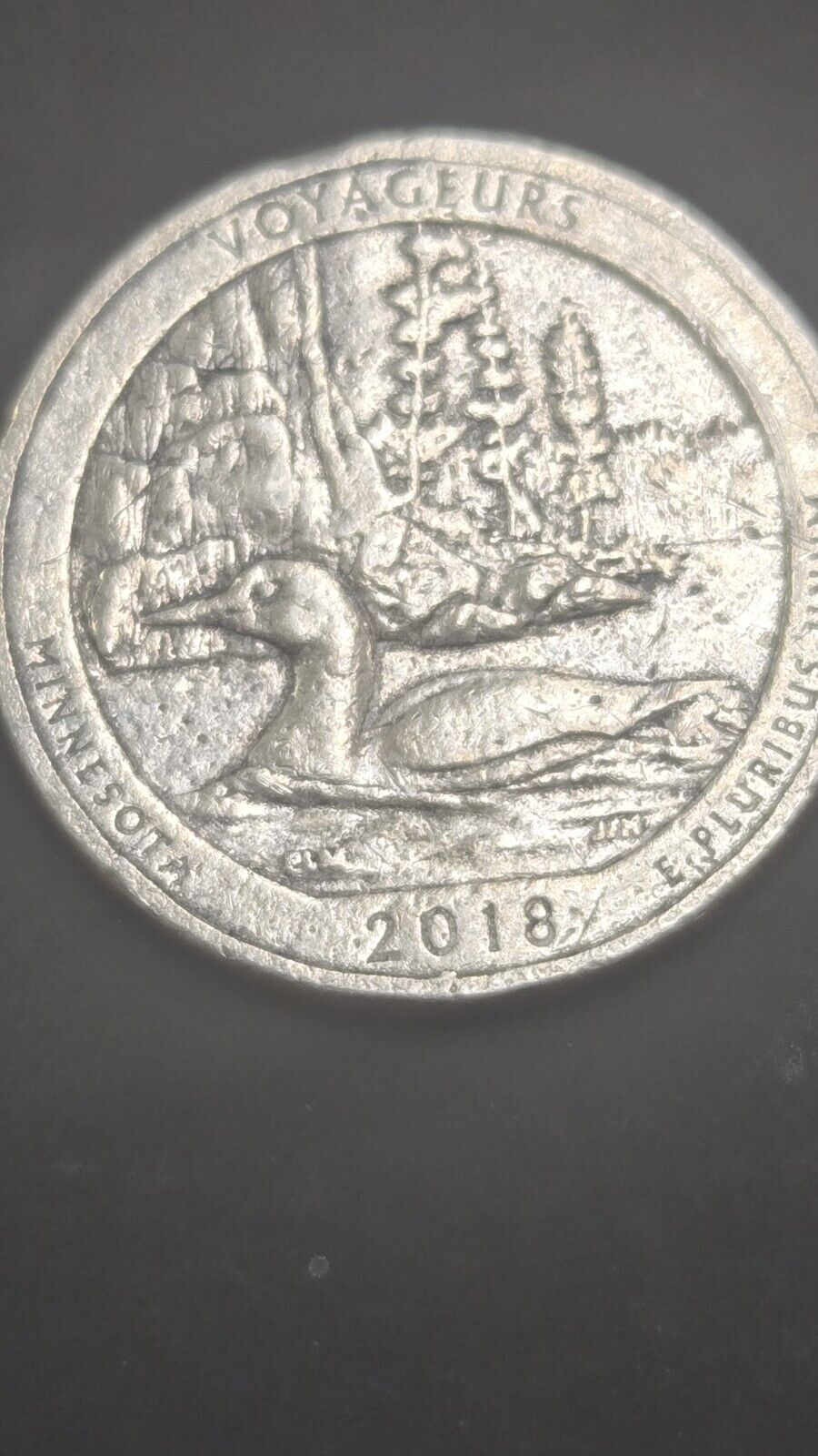 Picture 4 of 4