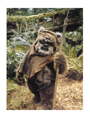 Wicket 12x16 Druck signiert von Warwick Davis 100 % authentisch mit Echtheitszertifikat