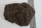 Oregon Ochoco S & S Bed Thunderegg Lapidary 2 lb 8 oz. faced rough Lot E — photo 5