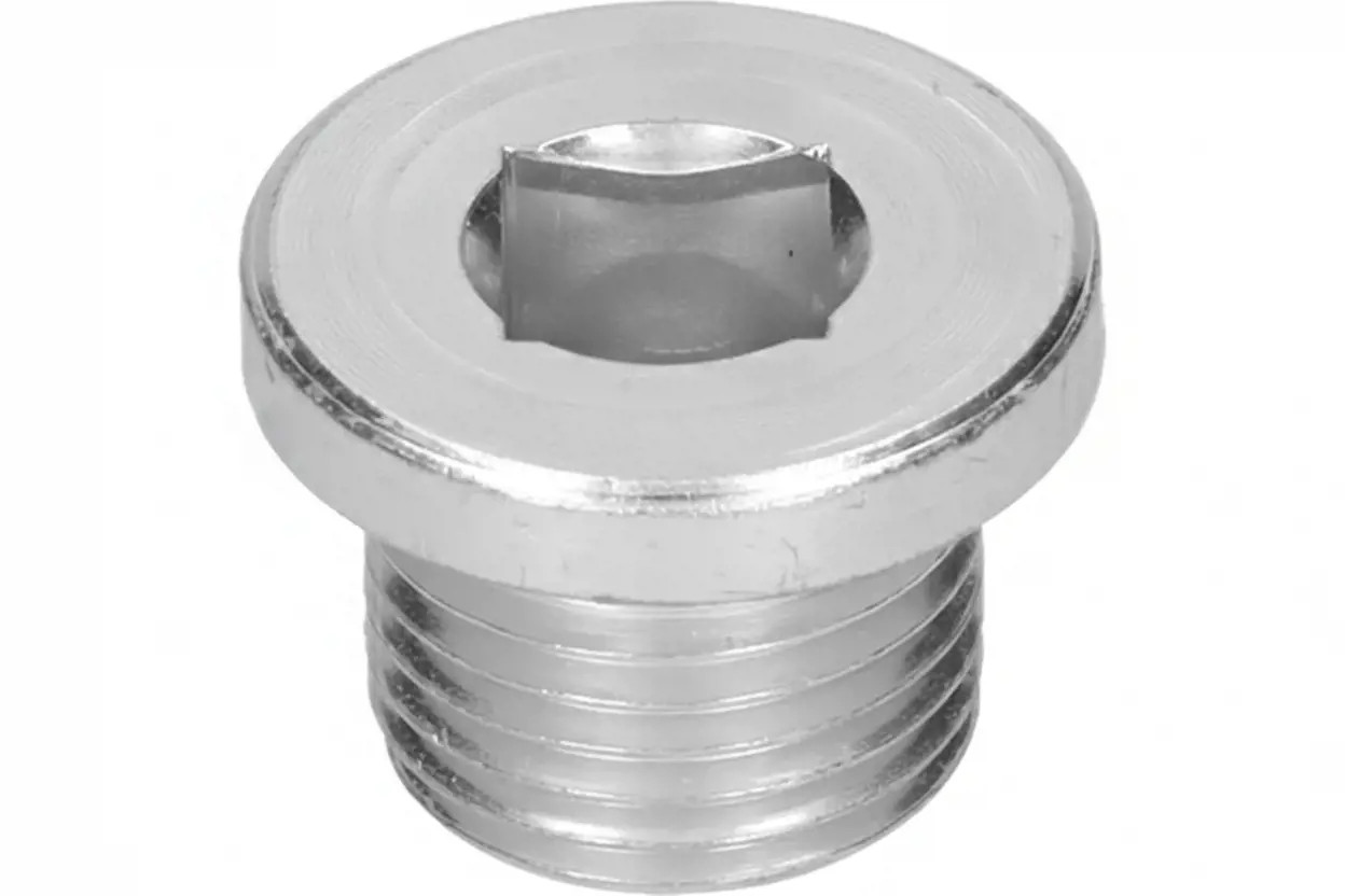 Metalcaucho Vis-Bouchon, Carter D'huile 00667 - Image 2