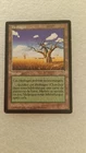 MTG MAGIC THE GATHERING VF Herbages 1996 Card