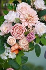 Bild 7 von 7