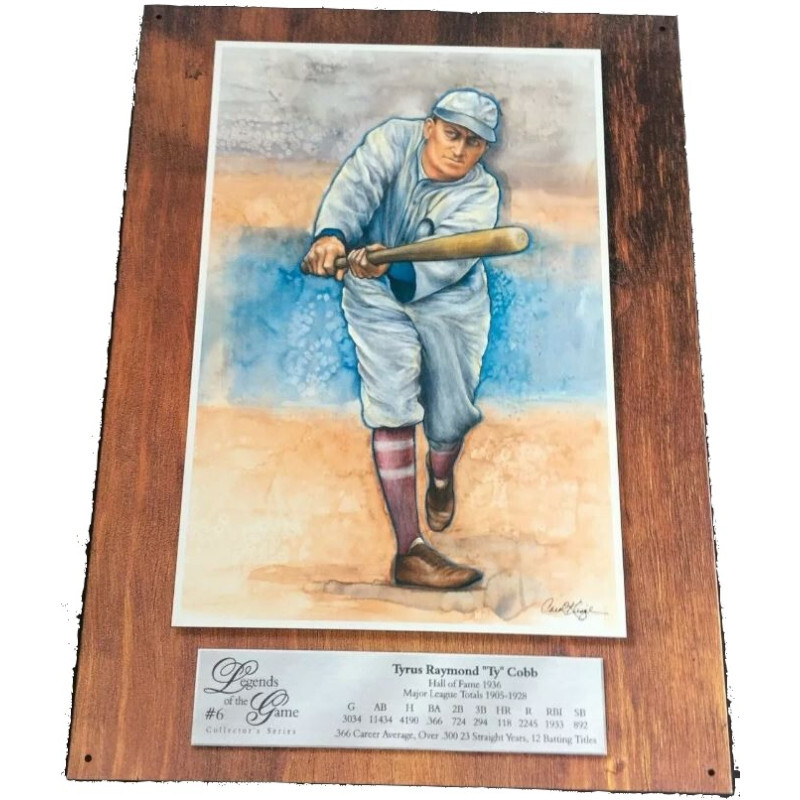 Plaque métal vintage 30 x 40 cm Tyrus Raymond Ty Cobb pour déco rétro