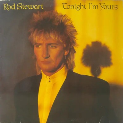 Rod Stewart Tonight Im Yours Warner Vinyl LP