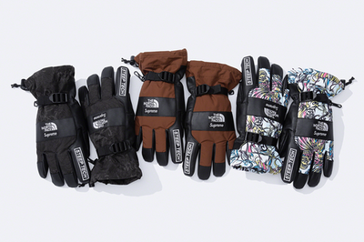 Supreme The North Face Steep Tech Gloves 3colors FW22 | eBay