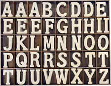 205 Pieces 2 Inch Wooden Letters Wood Alphabets for Crafts,Organized with Extra