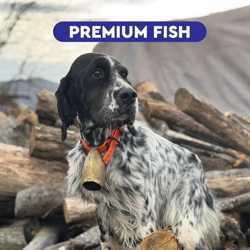 Cibo per Cani Wildseason Premium Fish: Pelle Sana e Pelo Super!