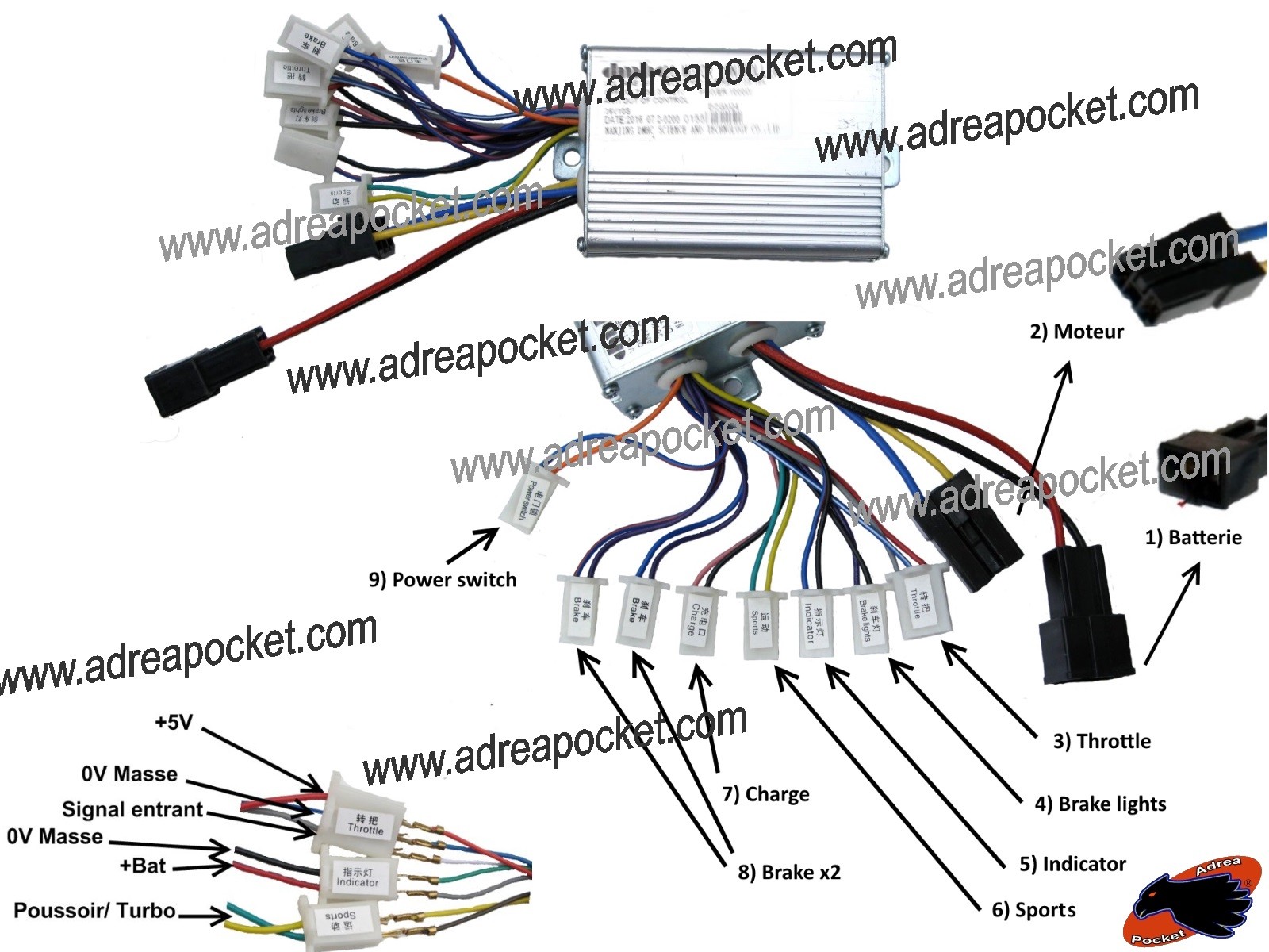 Contrôleur 36V 800W trottinette contre les surchauffes moteur avec gestion automatique Eco Turbo