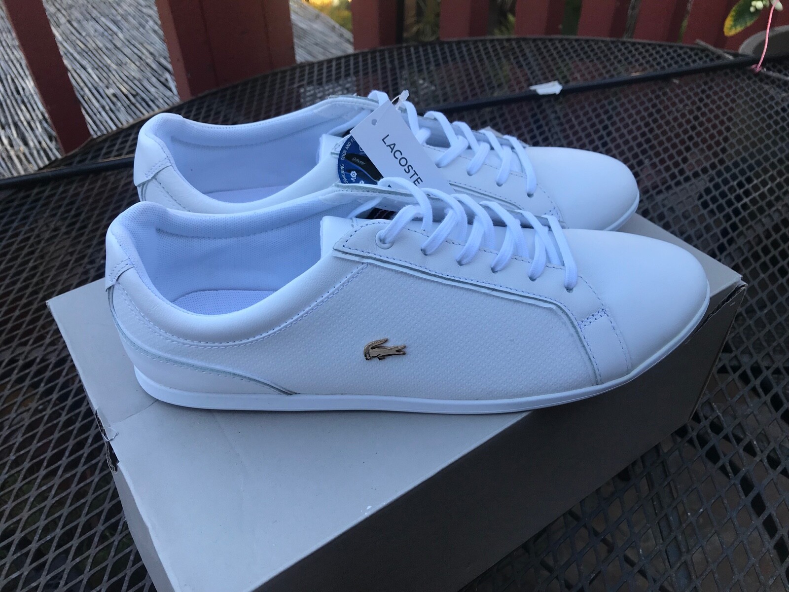 lacoste rey lace white