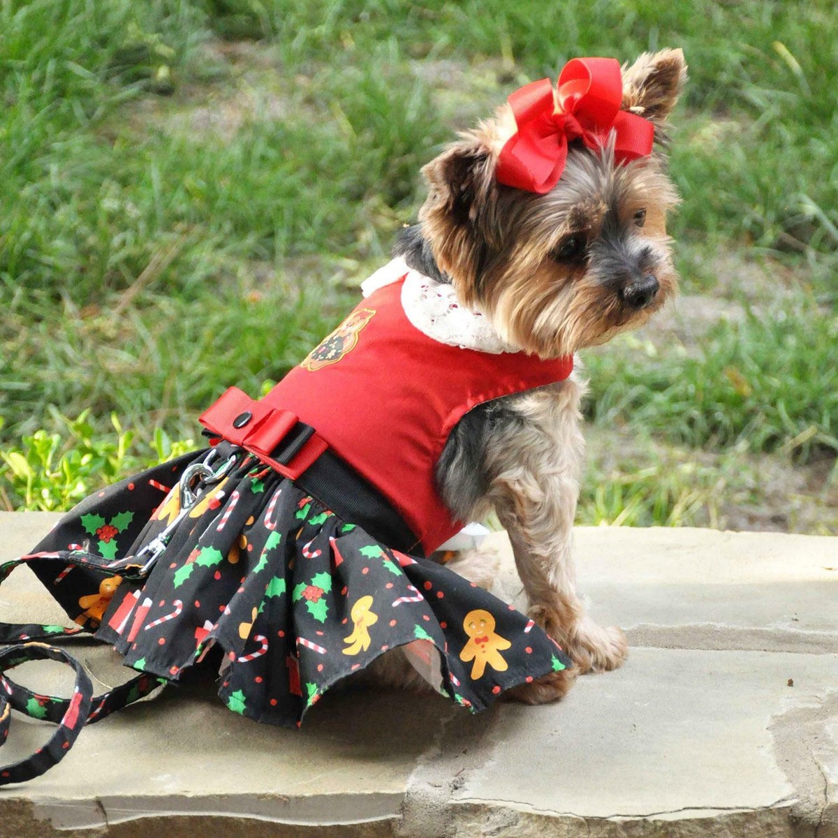 holiday dog dress with Harness & Matching Leash Gingerbread Man Size XS NEW Golden retriever