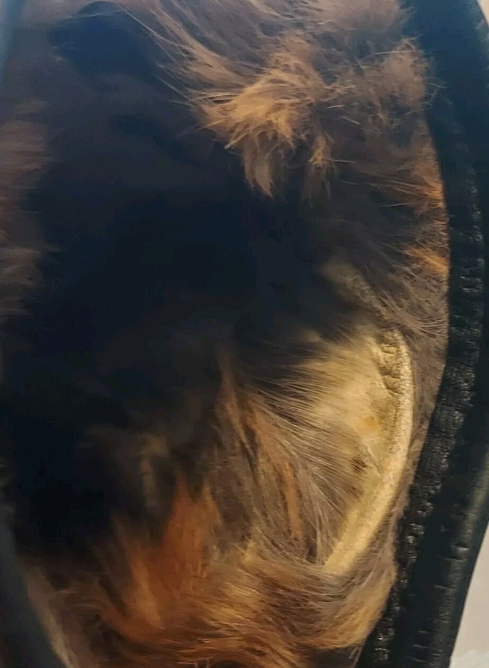 Mens Black Leather Driving Gloves Fur Lined Japan Vintage Winter Medium