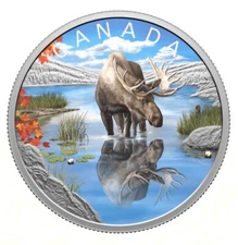 2024 Canada Wildlife Reflections Moose 1 oz Silver Colorized Proof Coin