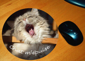 Tapis De Souris Humour Chat M Epuise Ebay