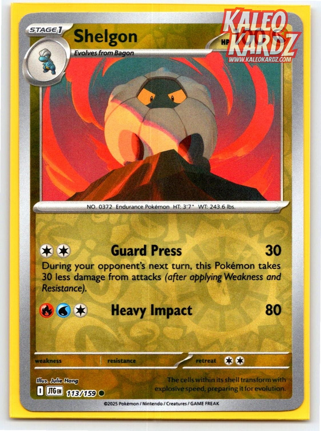 Shelgon 113 Common Journey Together Pokemon Reverse Holo NM/M