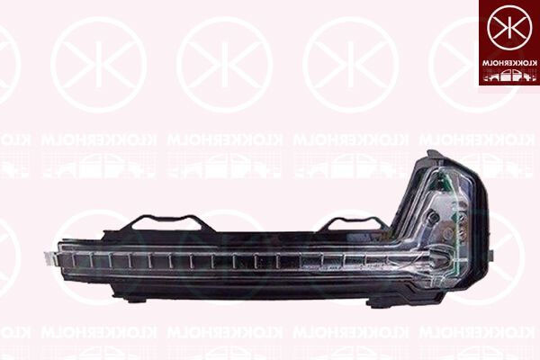 Neuer Spiegelblinker - Rechts - Passt FüR Volkswagen Tiguan (AD1, AX1) 2016-2020-image