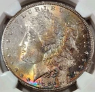 1886 Morgan Dollar $1 NGC MS63 ~ Colorful Natural Toned Beauty