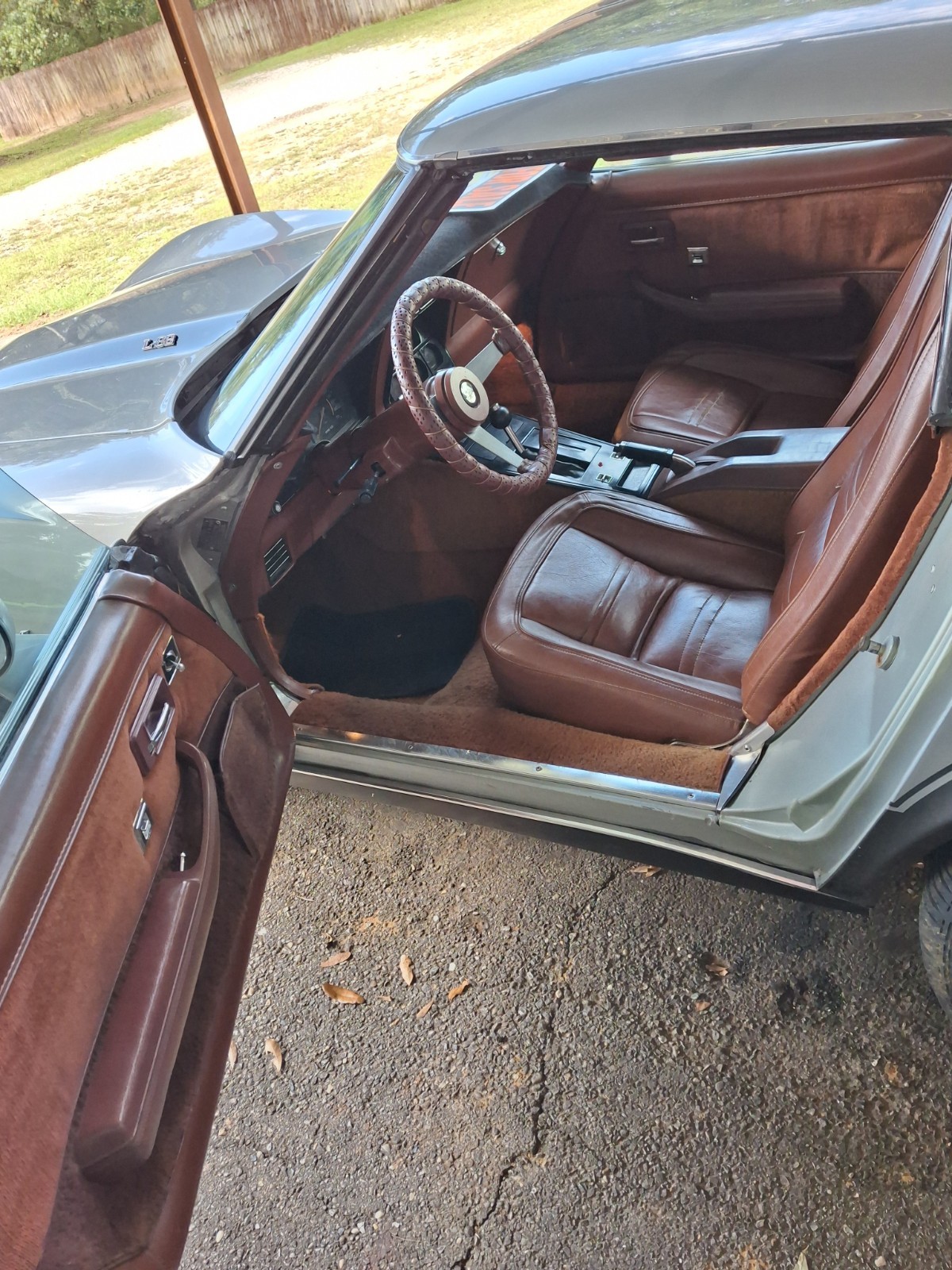1978 Silver Chevrolet Corvette   | C3 Corvette Photo 5