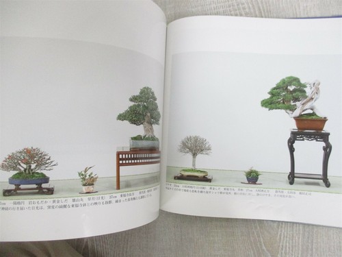 BONSAI KOKUFU Exhibition 84th Photo Art Book Japan 2010 Catalog - Picture 11 of 12