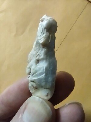 Native American Effigy Portable Rock Art. Shell. Rare. Great Value ...