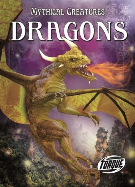 Dragons by Lisa Owings HARDBACK 9781644872734