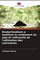 Bradyrhizobium A AméLioré Le Rendement Du Soja Et L'efficacité De...