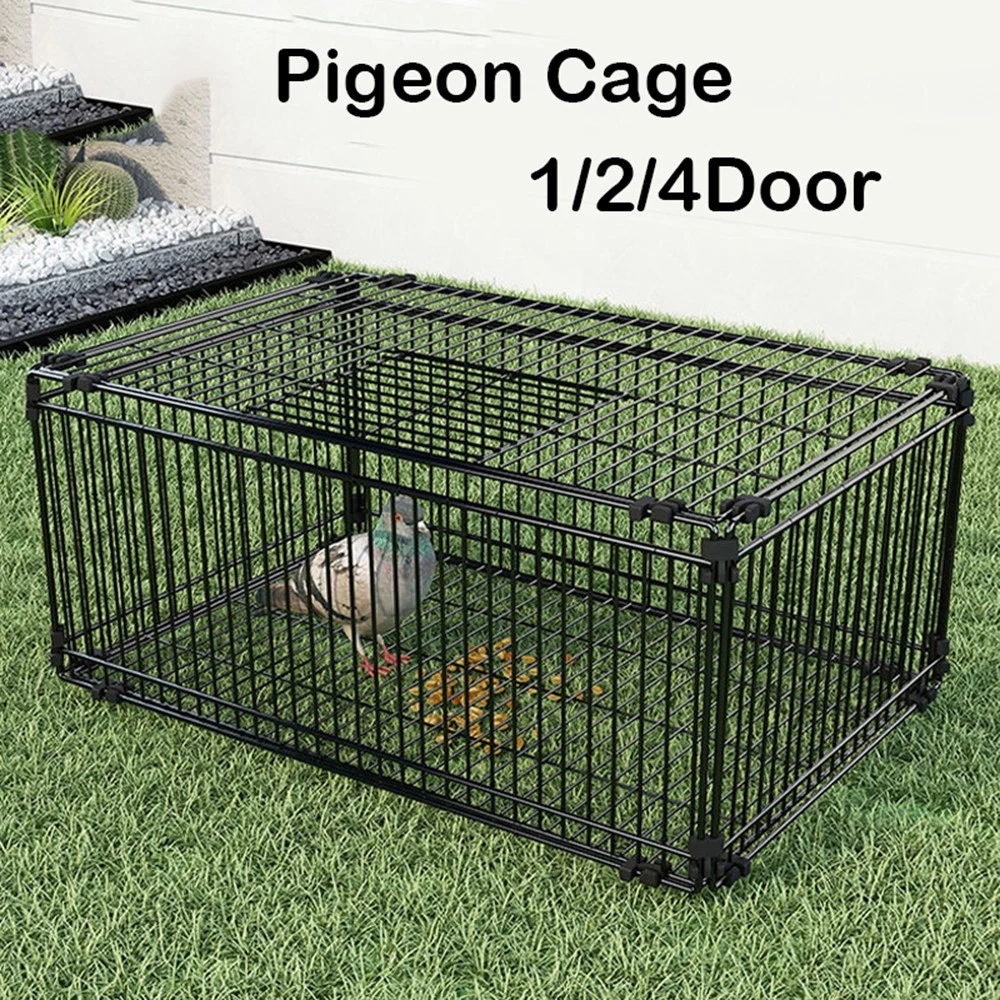 Pigeon Cage Iron Birds Trap Cage with Two-Way Entry Escape-Proof Design UK
Opens in a new window or