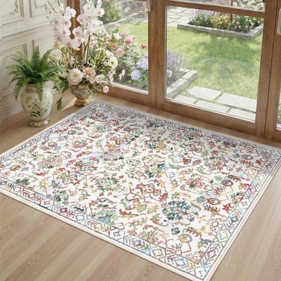 Colorful Area Rug 2x3 Entryway Rug for Bedroom Bathroom, Non-Slip Low-Pile Wa...