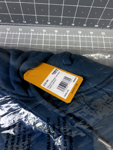 Carhartt Women's Relaxed Fit Long Sleeve Graphic Hoodie TEAL Large (12-14) NEW~~ - Picture 9 of 10