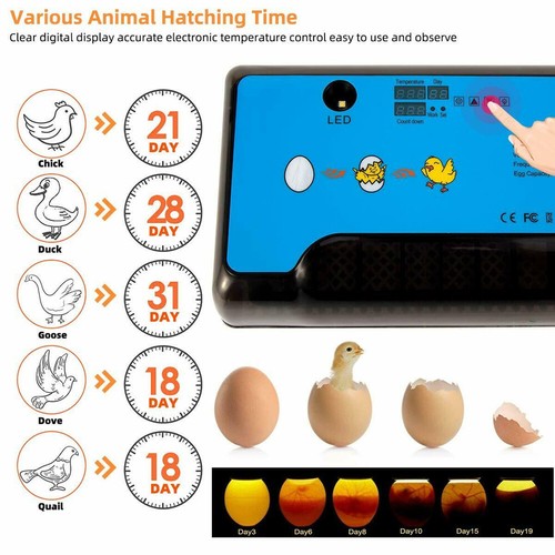 Egg Incubator Automatic Chicken Quail Chick Hatcher Incubators for Hatching Eggs eBay