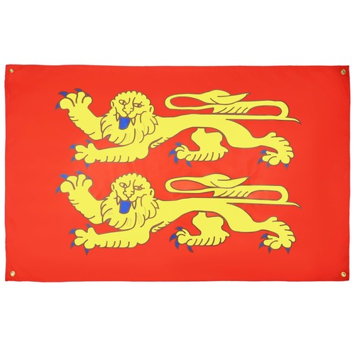 CHAÎNE DRAPEAU BASSE-NORMANDIE 6 mètres avec 20 drapeaux