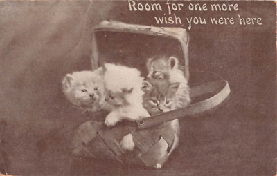 1912 PC of Cute Kittens in a Basket - Room for One More - Wish You Were Here