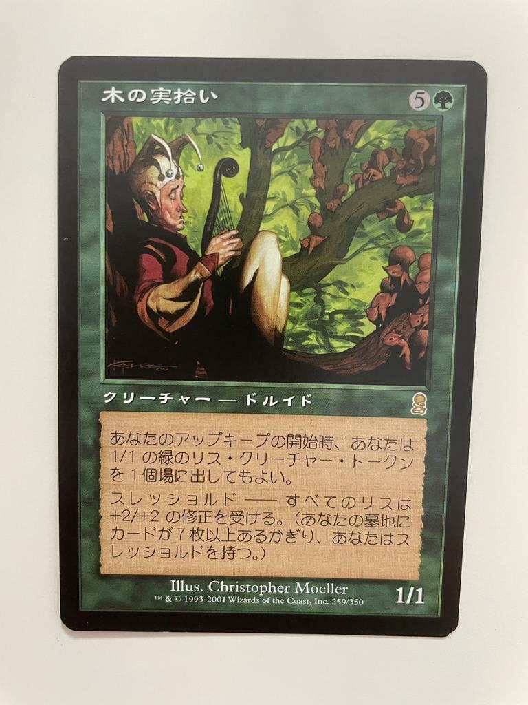 MTG 木の実拾い Nut Collector foil 英語版 オデッセイ
