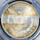 Tape Toned Silver 1882-O Morgan $1 Dollar | PCGS MS63