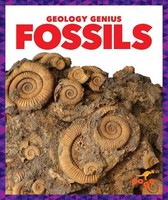 Rebecca Pettiford | Fossils | Buch | Englisch (2019) | Geology Genius | Gebunden