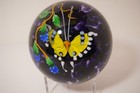 Wonderful Signed Mayauel Ward 2018 Yellow/White Butterfly Art Glass Paperweight — photo 1