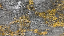 One Of A Kind! Heavy Textured Wall Art Micro Cement | Concrete | Rustic Man Cave