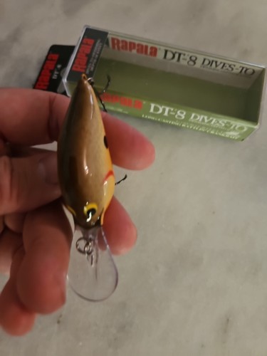 Bajo Rapala DT 8 Bandido Pintado Personalizado Caqui Marrón Escalas Balsa Crankbait DT-8 - Imagen 7 de 9