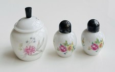 Thomas Germany Porzellan Set Vorratsdose und Salz Pfeffer Streuer Blumenmotiv